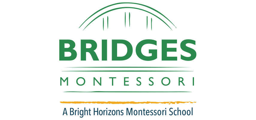 Brookfield Academy Logo